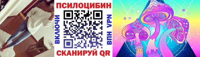 Купить  Новосиль  Псилоцибиновые грибы ЛСД 